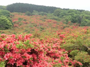 efbd8eefbd97e38384e38384e382b8